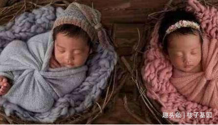 亲子鉴定|两姐妹同一天生下双胞胎,4个孩子亲子鉴定结果同父异母