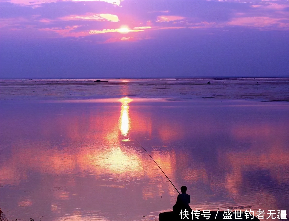 鱼总是在窝边翻,不吃钩?试试这种钓法,命中率极高——盛世三渔