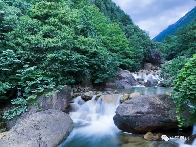 吴立新|云游雨后黄山 美景如画好似仙境