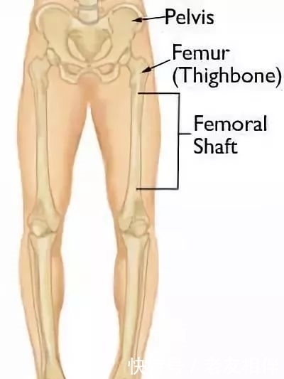 要命|髋关节疼起来真要命,到底为什么这么痛?要怎么治疗?