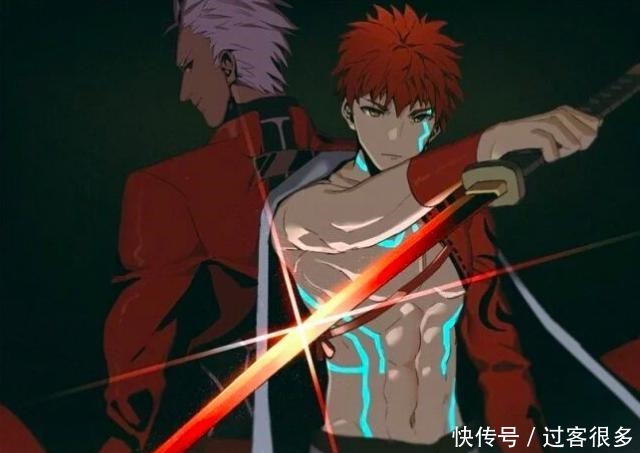 论卫宫士郎的十种形态