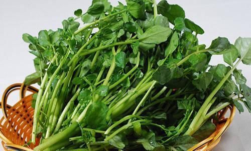 豆瓣菜|此菜,钙比牛奶高,铁比菠菜高,润肺护眼,孩子吃增强抵抗力