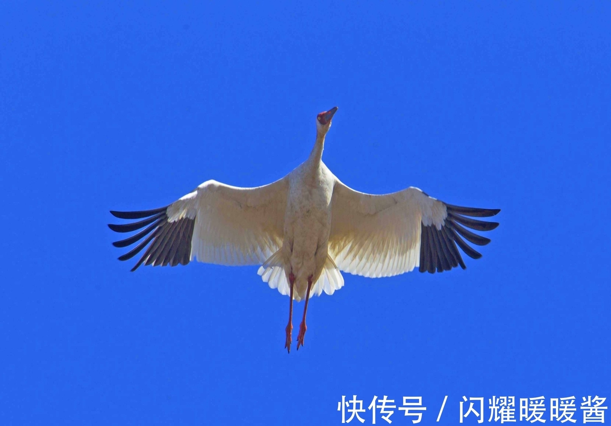 唐朝!寻找秋天最美的诗词,以“秋”为题的诗词排行榜前10名