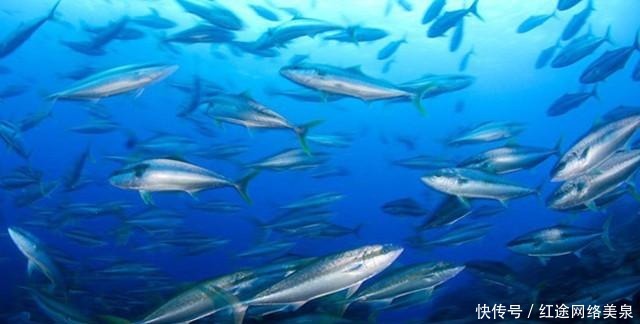 讯号 比火星更可能存在生命,科学家用三年时间,找到其存在的讯号