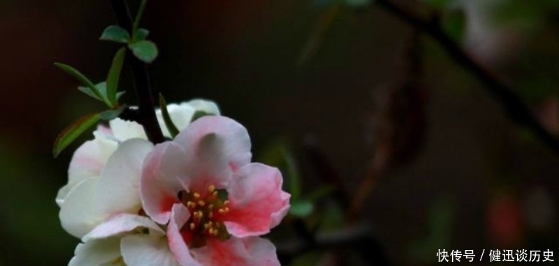 名篇|宋朝这位诗人典型的诗红人不红,但一首诗却是流芳百世,成为名篇