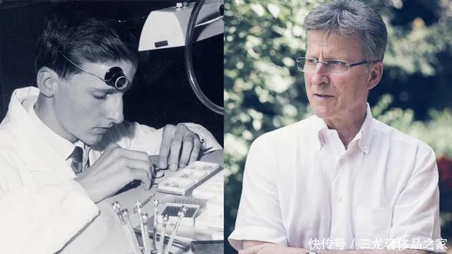 不能错过的性价比超高的腕表,你最爱哪一款?