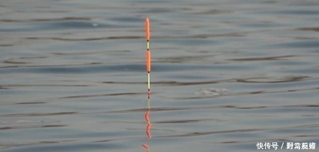 野钓新手想在野河里钓大鱼,这几个步骤有效降低难度