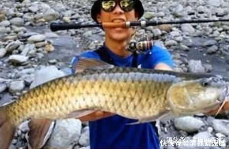 此鱼常被认错，实际身价比草鱼还高，如今1斤最少要100元，吃过吗