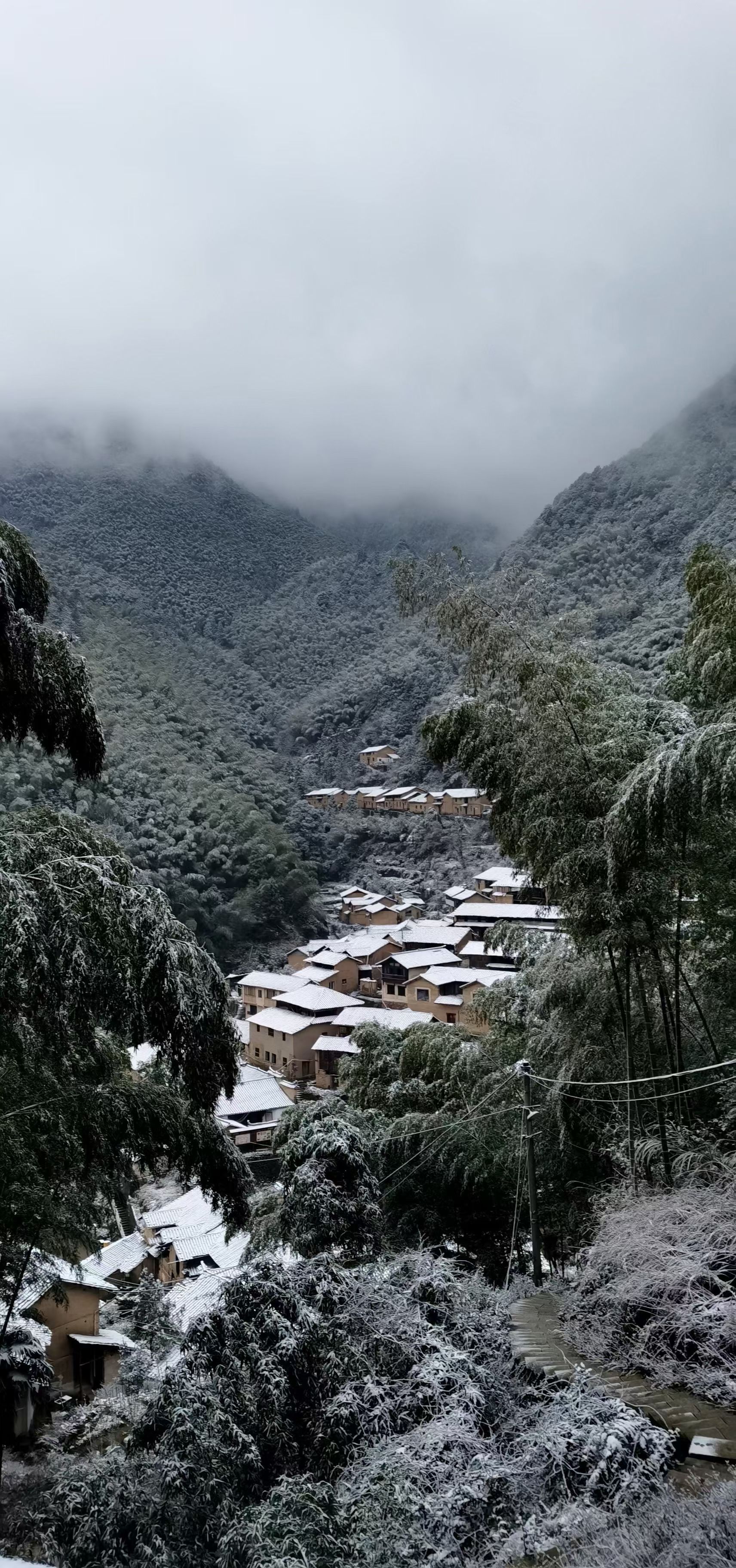 下雪|不用羡慕别人！松阳也下雪啦，绝美~