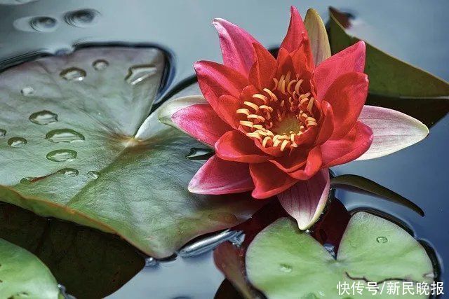 月壤|7月18日·上海要闻及抗击肺炎快报