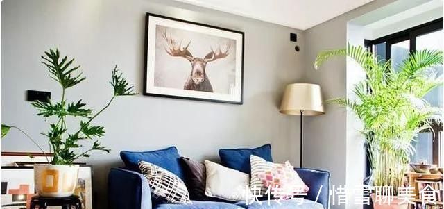 装修|47平的一室一厅,会装修不怕面积小,小户型一样可以很精致