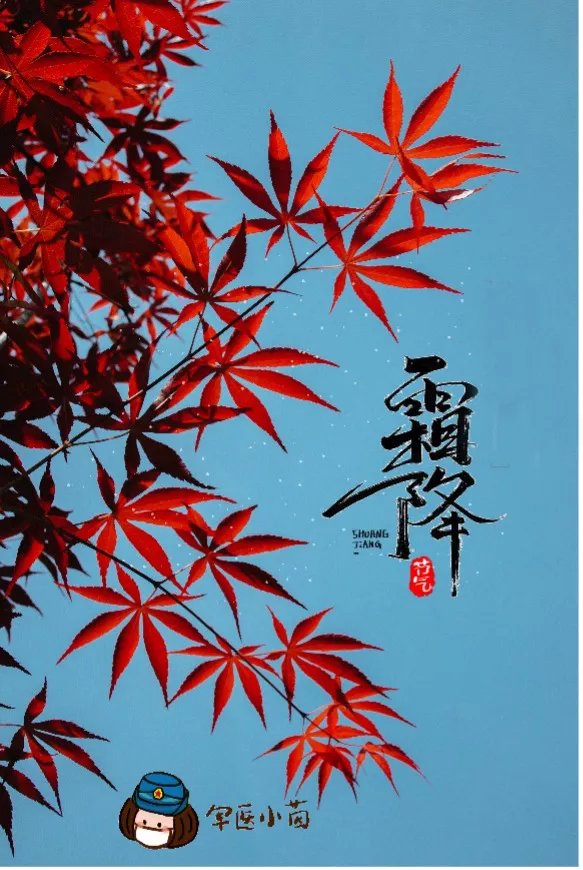 今日霜降|军医小茵 | 发作