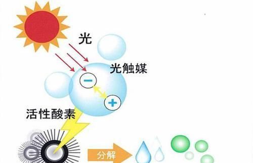 甲苯|新房装修完万万别急着入住，听内行人一说，真懊悔没早知道