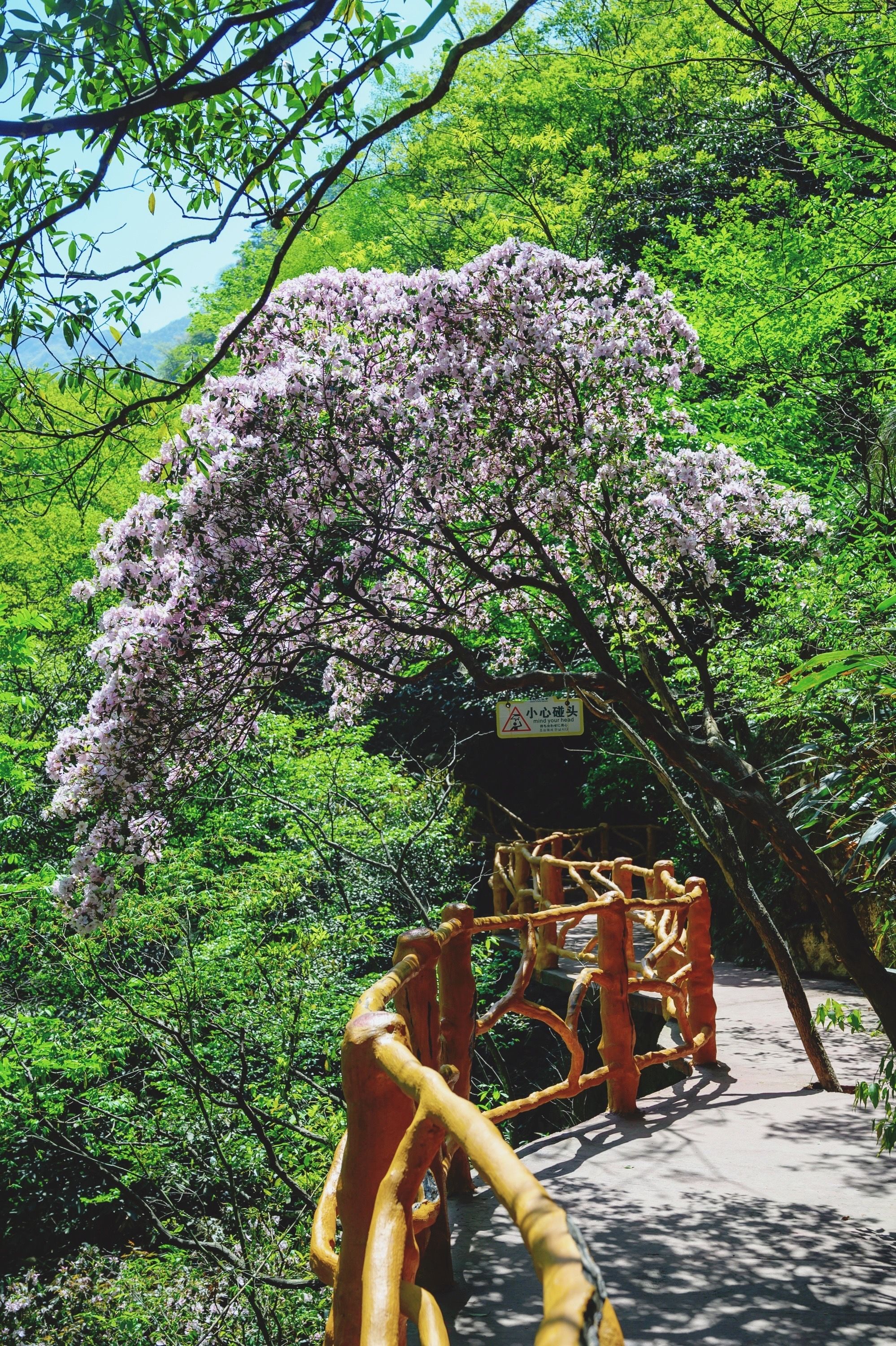 安吉浙北大峡谷，北纬30度线上的奇特山景，九大游乐项目等你挑战