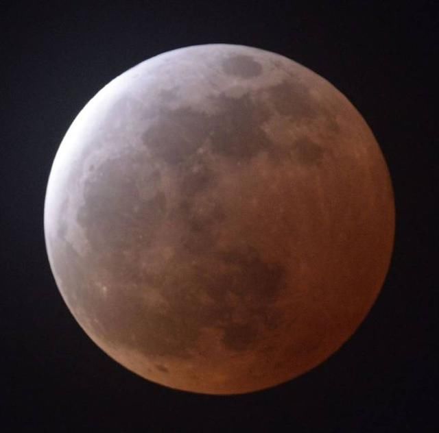 今日科技三分钟｜星际飞船原型SN10爆炸；浙大机器鱼登Nature封面