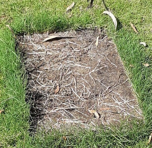 游戏|我的世界：别和MC谈科学，这7组图片，无法用正常思维理解