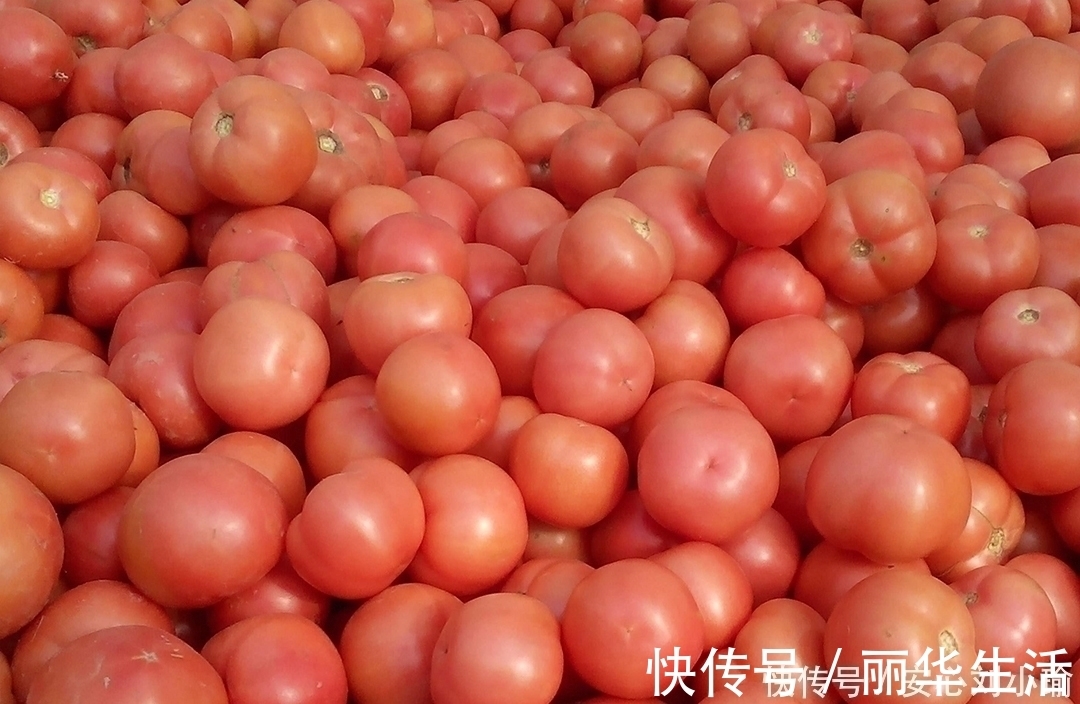 今天才发现，给西红柿去皮原来这么简单，不需要开水烫