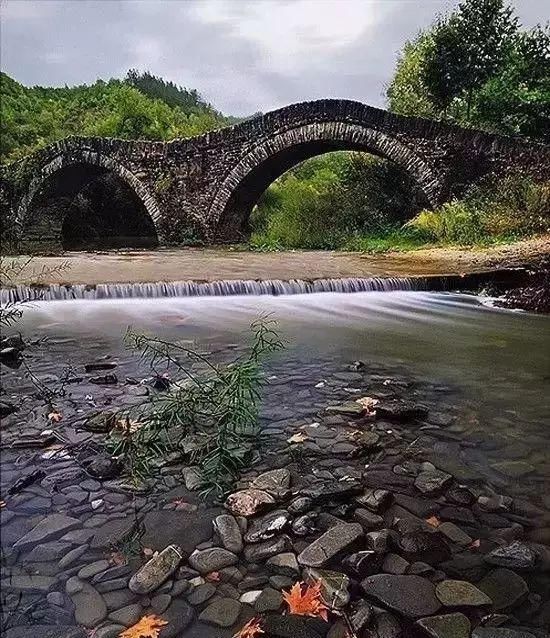 传来|太美了,世界照片今天终于传来,罕见至极,一睹为快