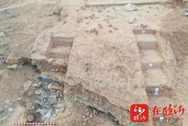 出土|临沂沂水跋山遗址入选2021年度山东五大考古新发现