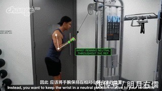 三头肌|手臂太细怎么练掌握这3点,“肱三头轰炸”练出麒麟臂