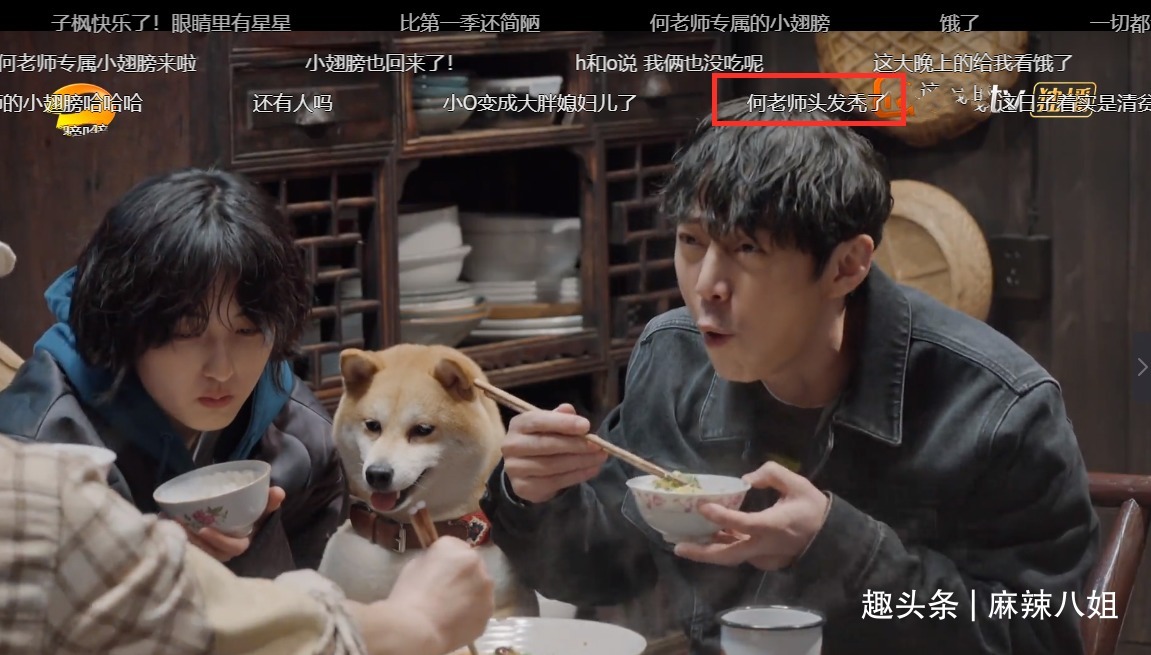 张子枫|三年前戏言成真,看样子“送礼事件”对何炅影响很大