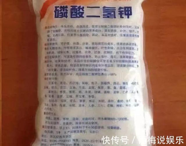 秋季|养长寿花、天竺葵，喂上1种“粉末”，花比叶子多，百试百灵