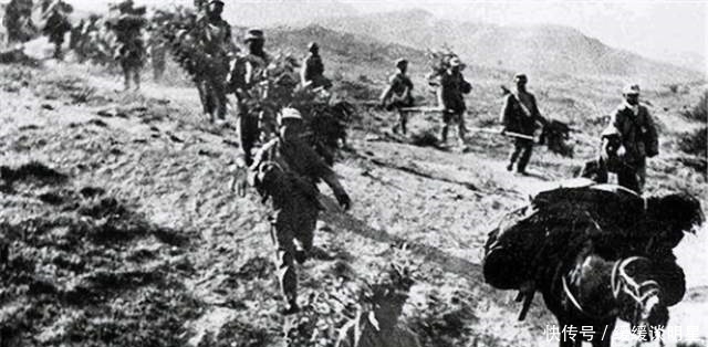 睡觉|孟良崮战役有多惨烈?1.5平方公里数万尸体,陈毅3天没敢睡觉