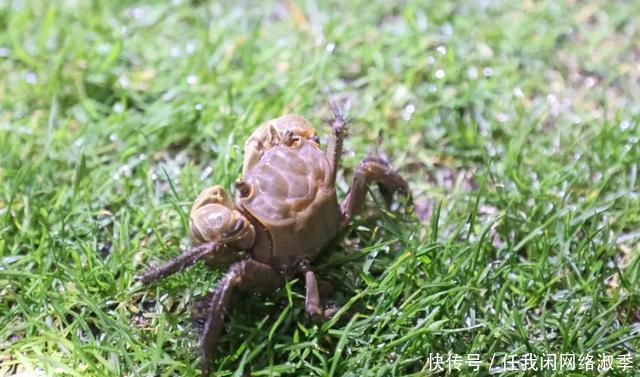 地球一小时︱探秘自然之夜,为地球发声