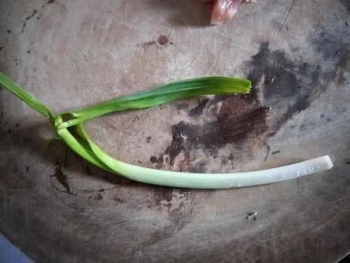 肺部细菌“天敌”被发现,常吃排毒清肺,咳嗽痰多的人可多吃