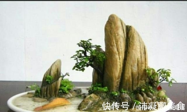 怎样才能修饰出更显自然的山水盆景