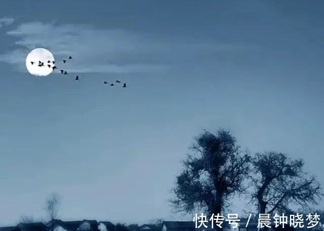 秋夜&秋夜的露珠