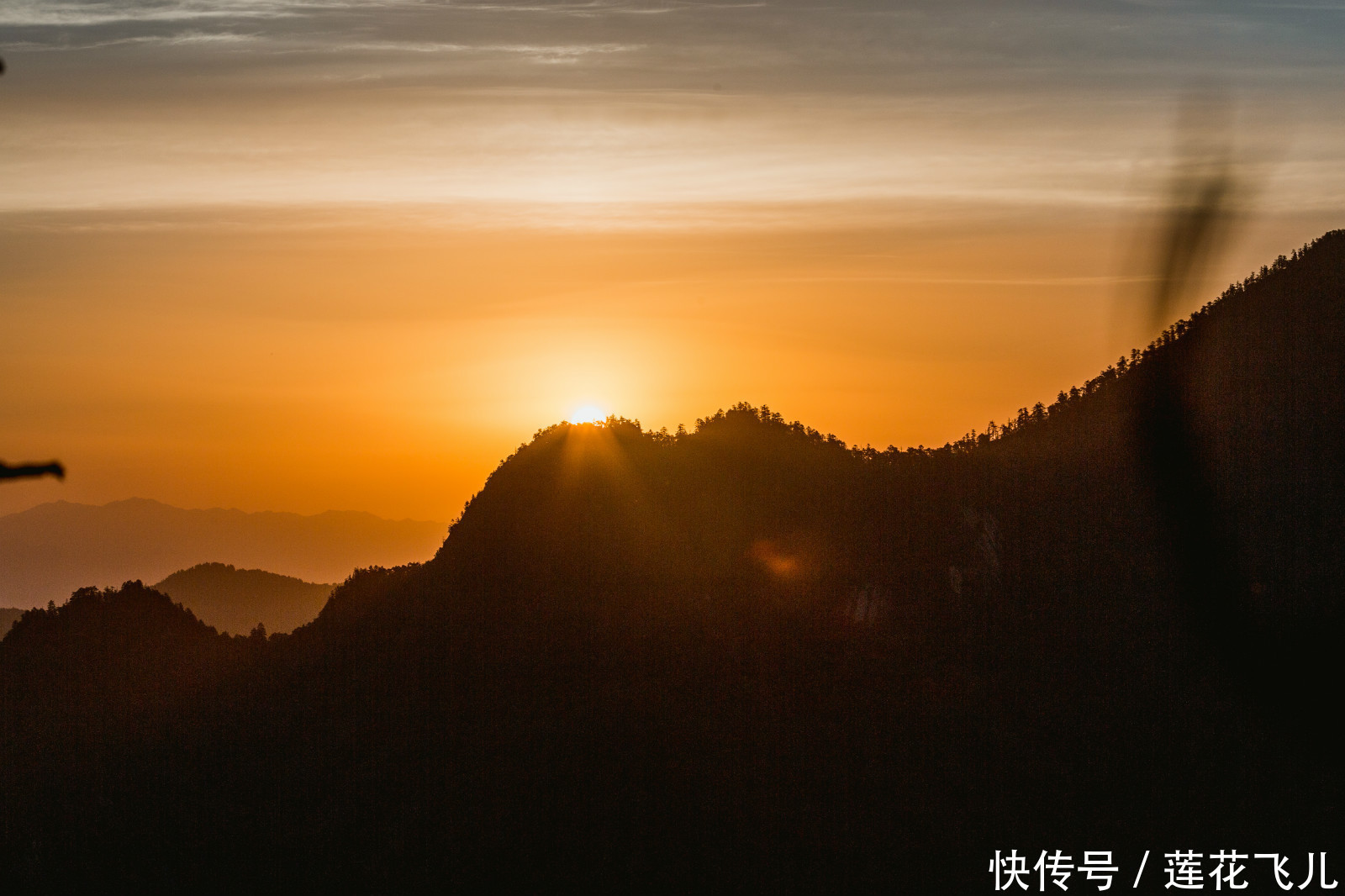  盛世|Hello！我是木王山红叶！我以盛世美颜待君来！