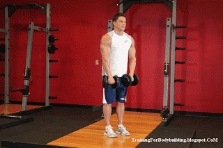 练肩|1套高效练肩动作,全面刺激整个三角肌,轻松拥有饱满的球形肩