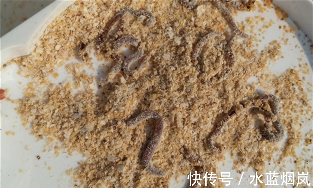 冬季天冷吃口差,4种饵最受鲫鱼欢迎,别不信,比商品饵更好用