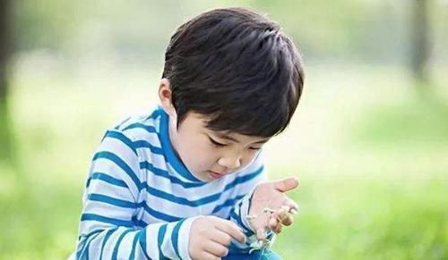 人才|右脑发达的孩子,一般有这3种表现,成绩以后不用愁!