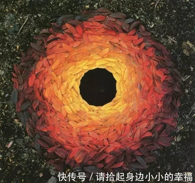 艺术家|他用最简单的树叶、石头、羽毛，建了一座美到极致的自然美术馆