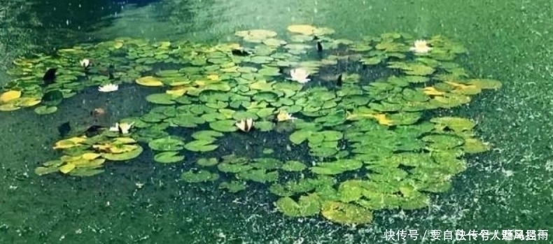 南唐$李煜最有韵味的一首词,整首词处处充满忧愁,可是又没有一个愁字