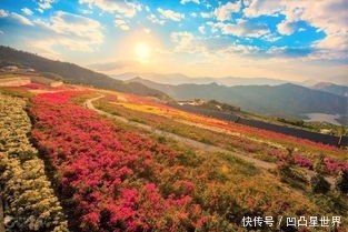 春节自驾去！这里全年无冬，比成都安逸，还没被商业化！