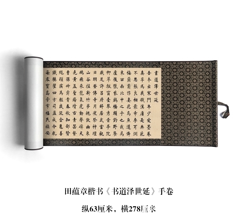 田蕴章$苏轼:学好了楷书,才能写行草!田蕴章:我学了60年,也没有学好