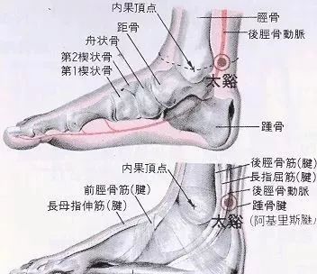 太溪穴 清热生气 快资讯