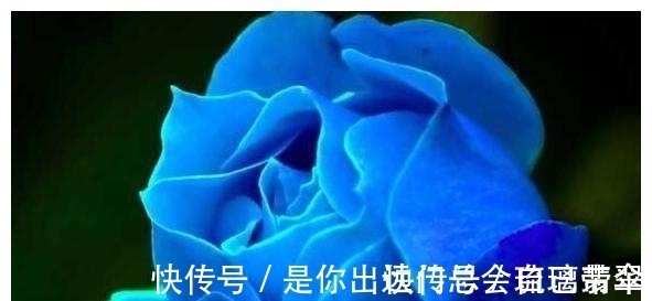 星座|难忘旧爱的3星座，容易深陷回忆里面，心里还爱着对方