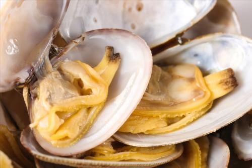 渔民|花甲吐沙不干净？跟老渔民学了一招，多做1个小动作，省时又省力