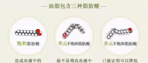 动脉|动脉硬化≠动脉粥样硬化，学好软化血管3个步骤，血流通畅少堵塞