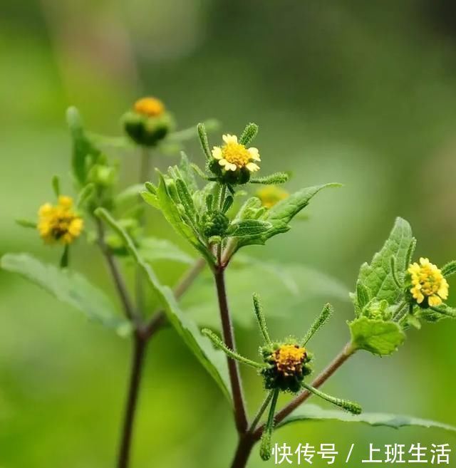 微微一笑!但行好事,莫问前程~经历过四朝十帝的冯道,和他的两首名诗欣赏