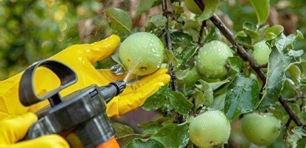 血管疾病|它是甘油三酯的“死对头”,放肆喝,稀释血液,血管一通到底