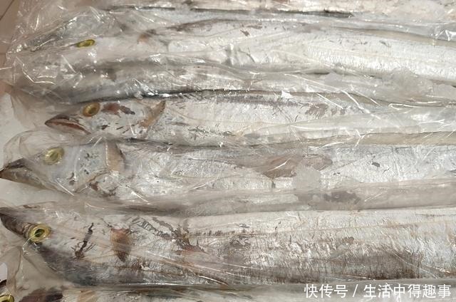 海鱼|买鱼时，就买这5种，都是野生鱼，目前无法人工养殖，可放心食用