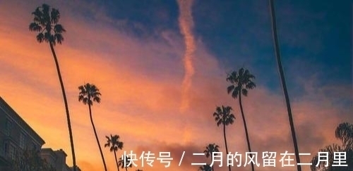 乖巧|不服管,不妥协的星座,乖巧只是表象,迎风飞翔,编织美好未来