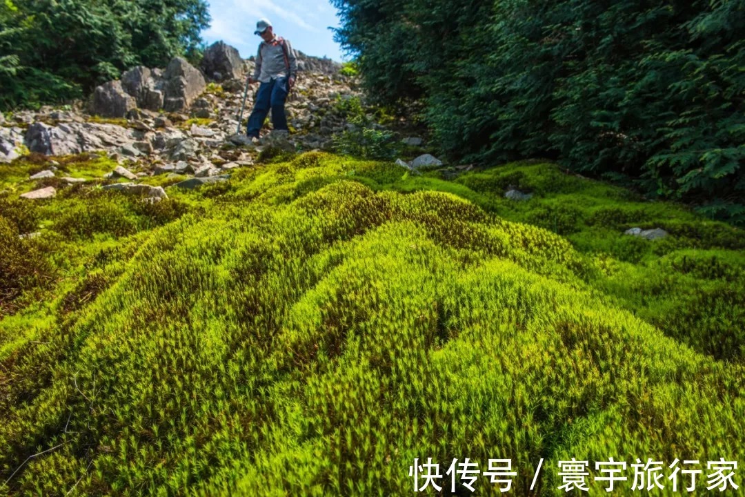 登山|秋高气爽最宜登山！宁海这些高颜值徒步道，周末快约起来！