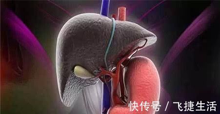 营养师|所有人都要减肥控制饮食?营养师:错,体重没超过正常范围就不用