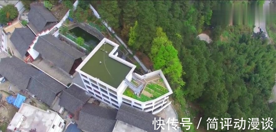 鱼的寿命到底有多长?为什么说有水的地方就有鱼?